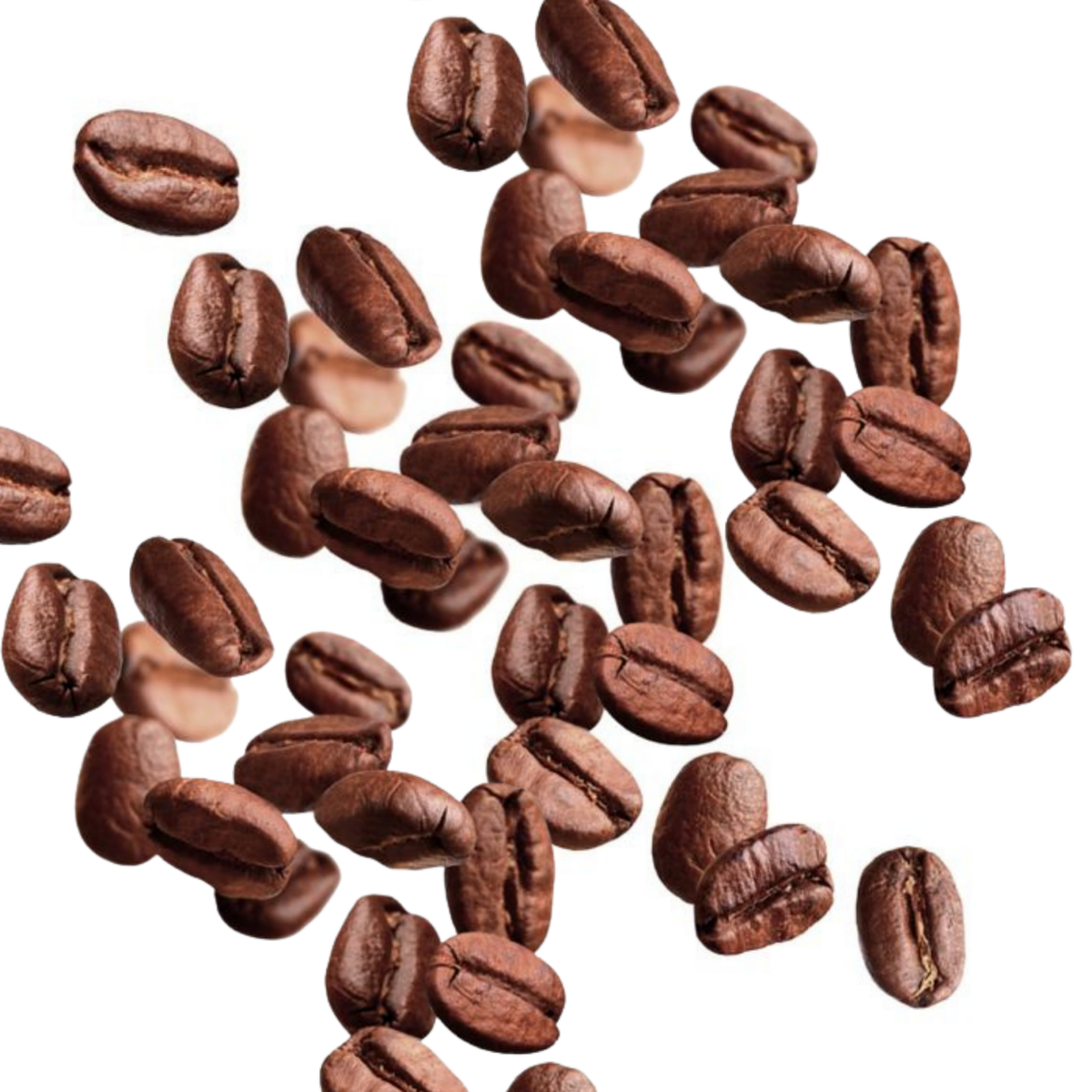 Tostatura Caffe Coffee Beans 50:50 Arabica Robusta (500GM)